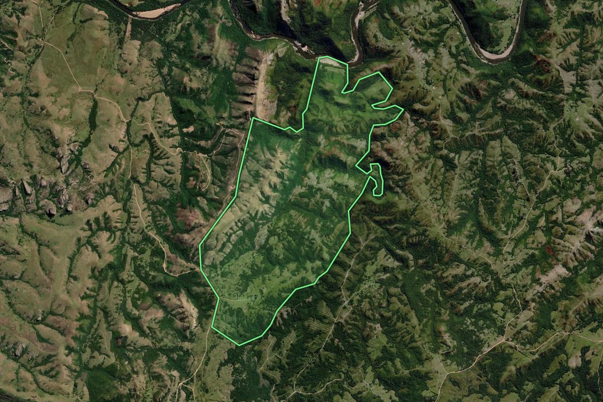 Imagem de satélite do imóvel rural em Pinheiro Machado (RS), com o contorno declarado no CAR desenhado por cima.