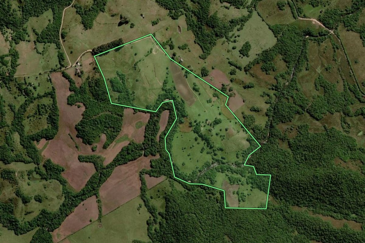 Imagem de satélite do imóvel rural em Pinheiro Machado (RS), com o contorno declarado no CAR desenhado por cima.