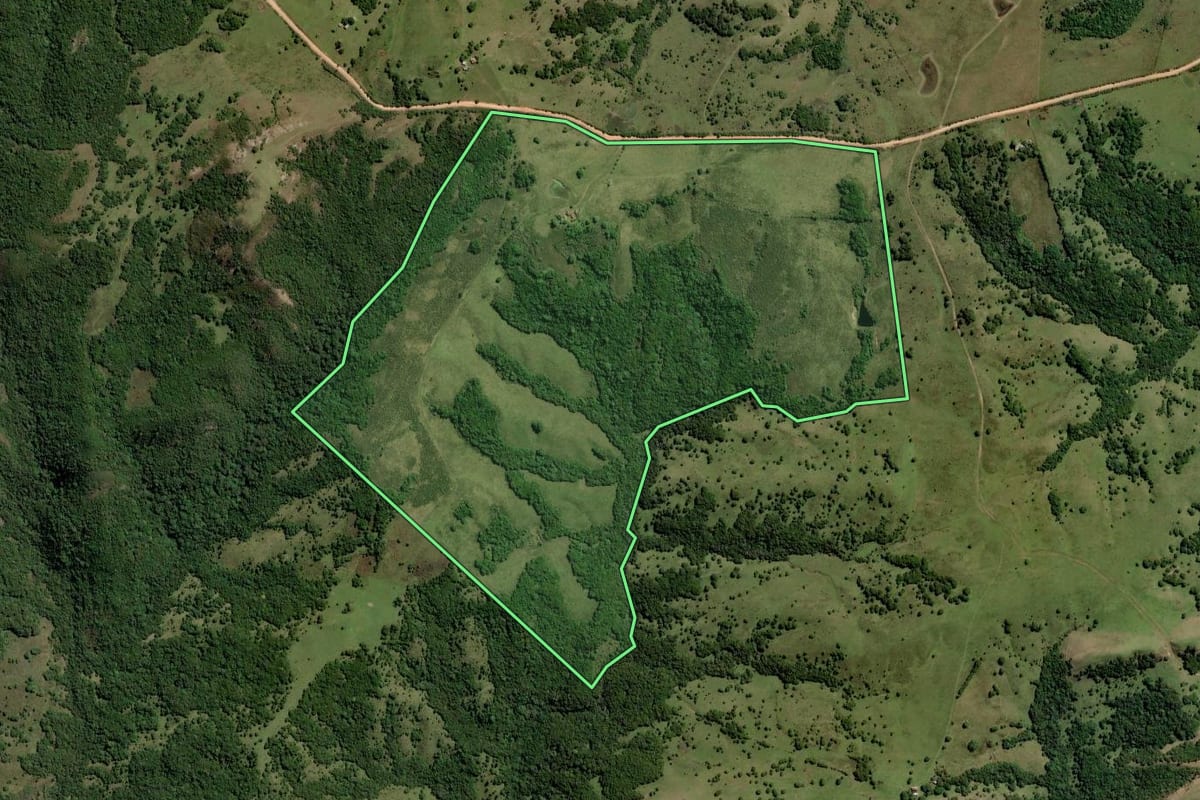 Imagem de satélite do imóvel rural em Pinheiro Machado (RS), com o contorno declarado no CAR desenhado por cima.