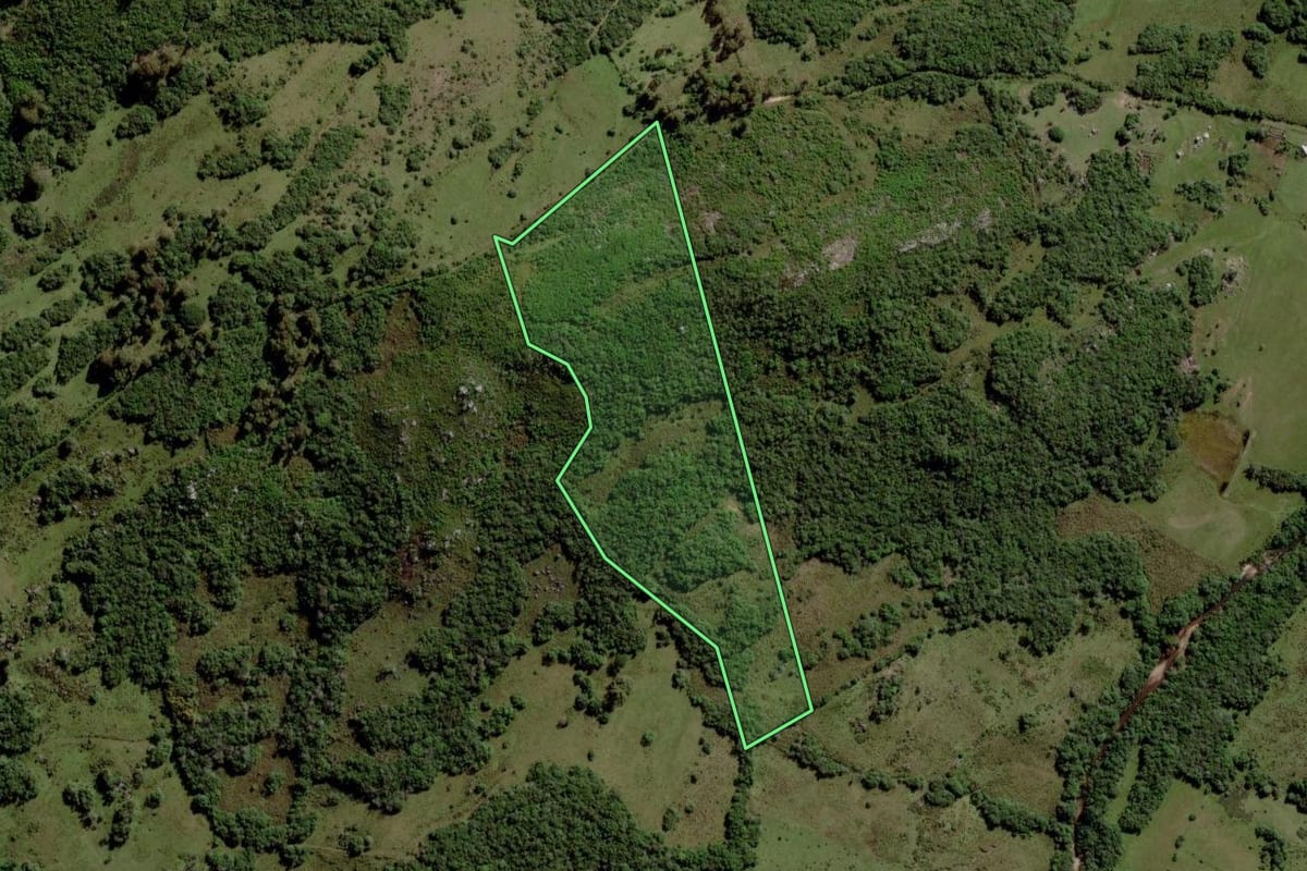 Imagem de satélite do imóvel rural em Pinheiro Machado (RS), com o contorno declarado no CAR desenhado por cima.