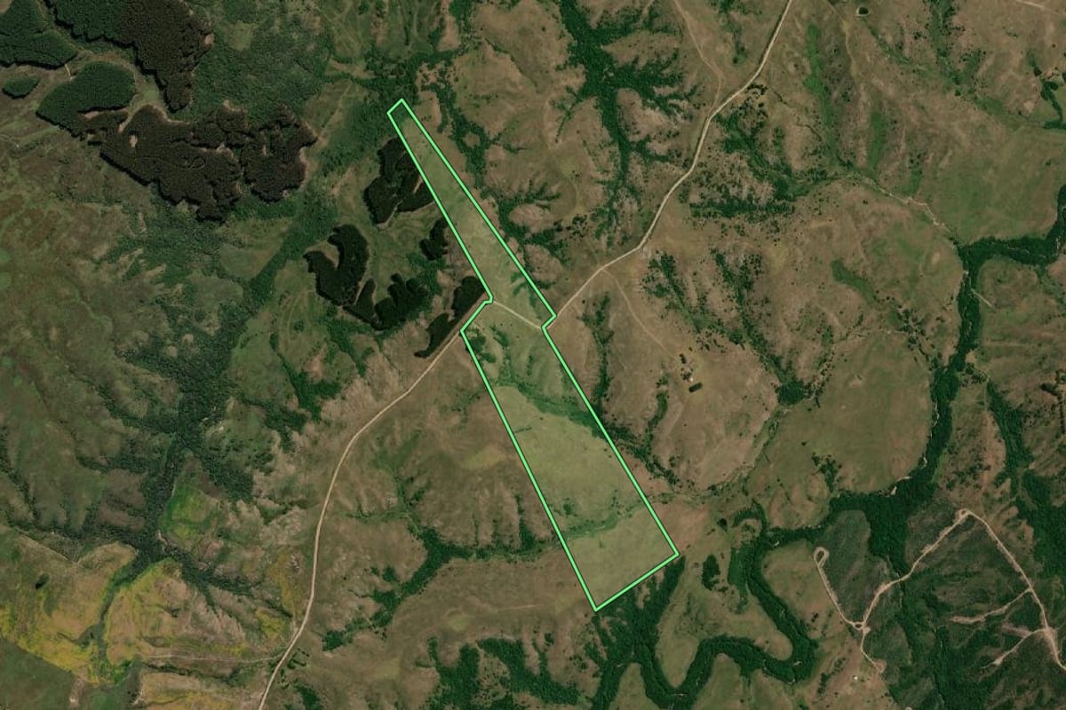 Imagem de satélite do imóvel rural em Pinheiro Machado (RS), com o contorno declarado no CAR desenhado por cima.
