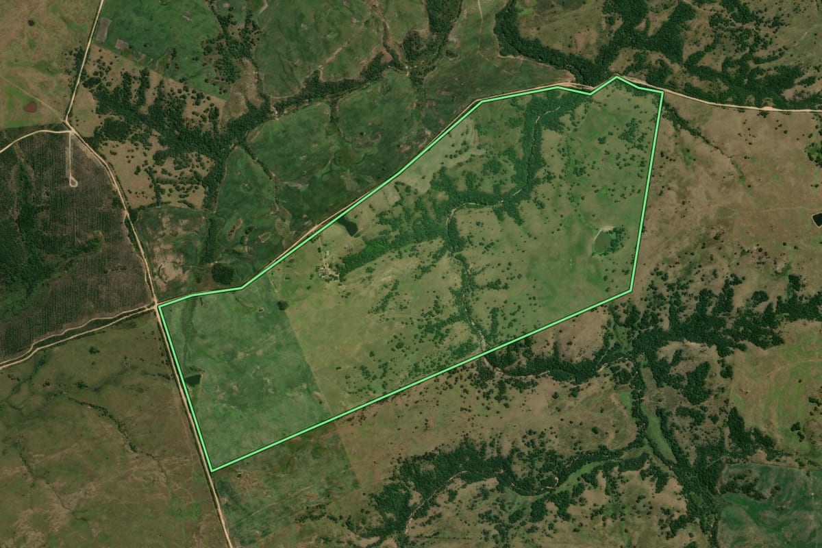 Imagem de satélite do imóvel rural em Pinheiro Machado (RS), com o contorno declarado no CAR desenhado por cima.