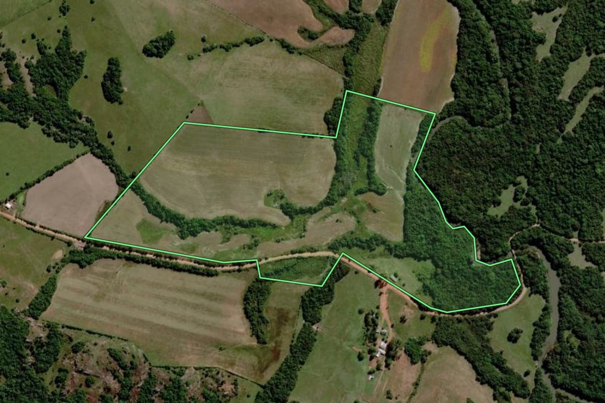Imagem de satélite do imóvel rural em Pinheiro Machado (RS), com o contorno declarado no CAR desenhado por cima.