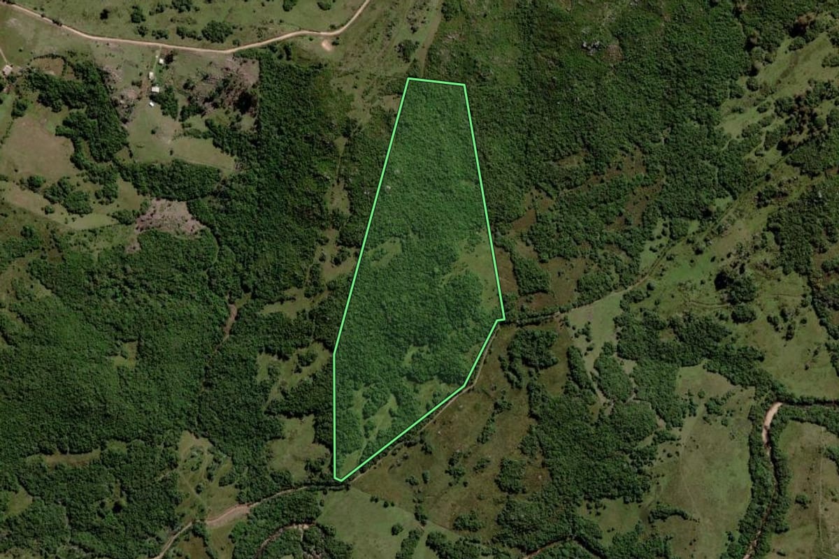 Imagem de satélite do imóvel rural em Pinheiro Machado (RS), com o contorno declarado no CAR desenhado por cima.