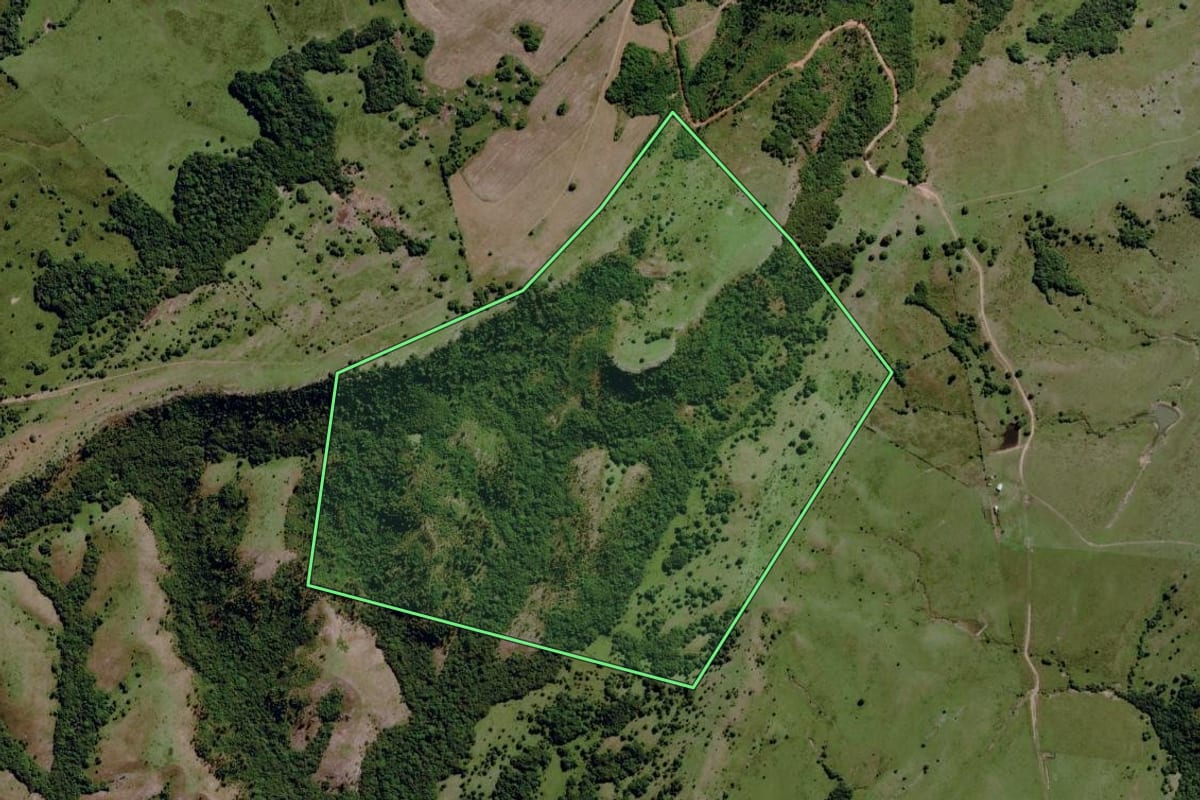 Imagem de satélite do imóvel rural em Pinheiro Machado (RS), com o contorno declarado no CAR desenhado por cima.