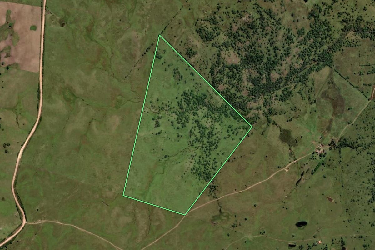 Imagem de satélite do imóvel rural em Pinheiro Machado (RS), com o contorno declarado no CAR desenhado por cima.