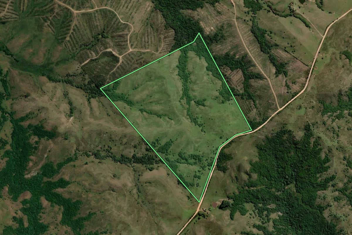 Imagem de satélite do imóvel rural em Pinheiro Machado (RS), com o contorno declarado no CAR desenhado por cima.