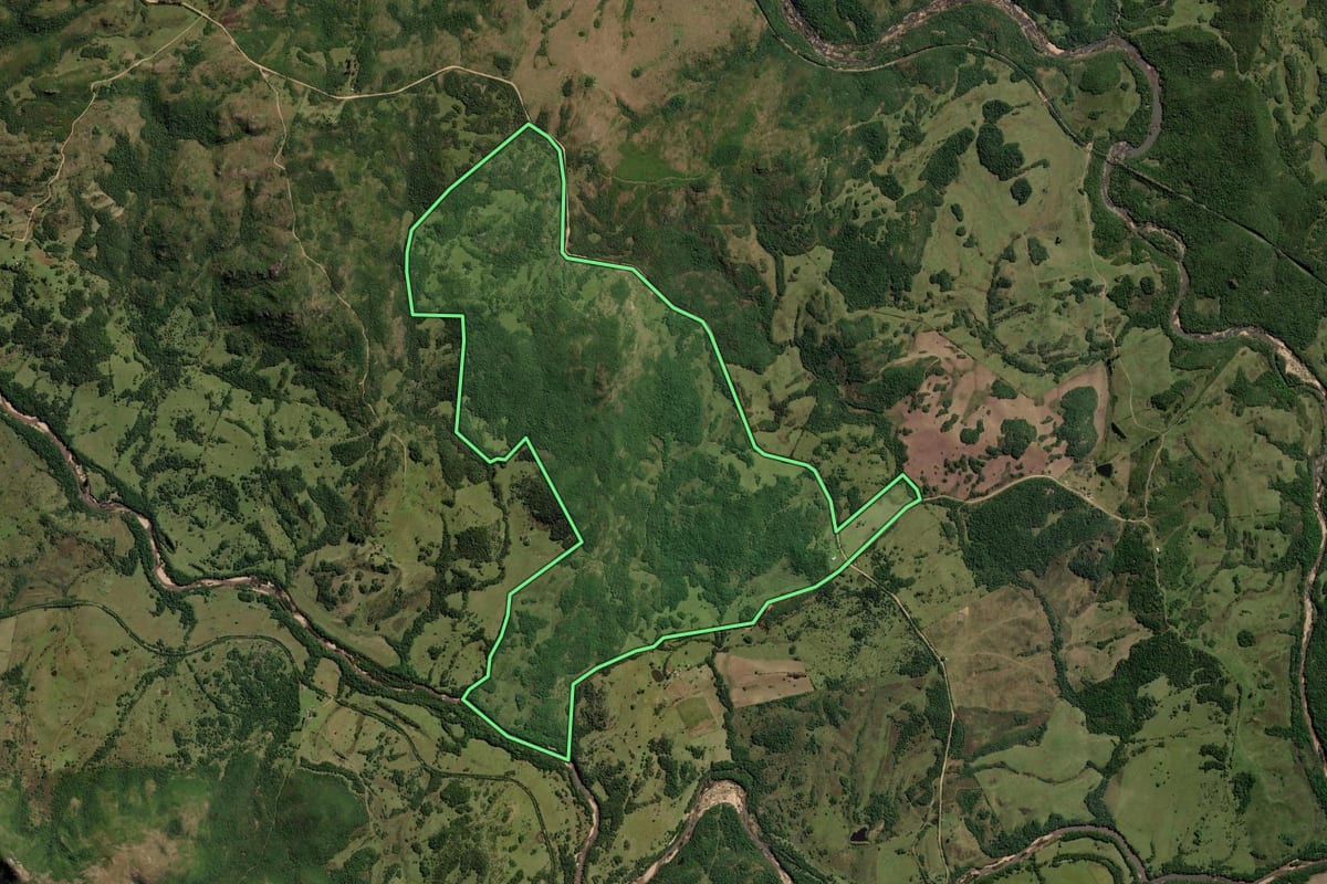 Imagem de satélite do imóvel rural em Pinheiro Machado (RS), com o contorno declarado no CAR desenhado por cima.