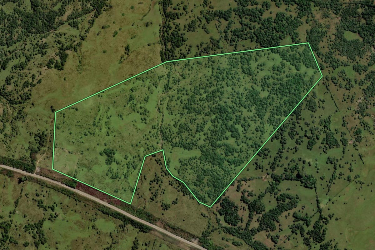 Imagem de satélite do imóvel rural em Pinheiro Machado (RS), com o contorno declarado no CAR desenhado por cima.