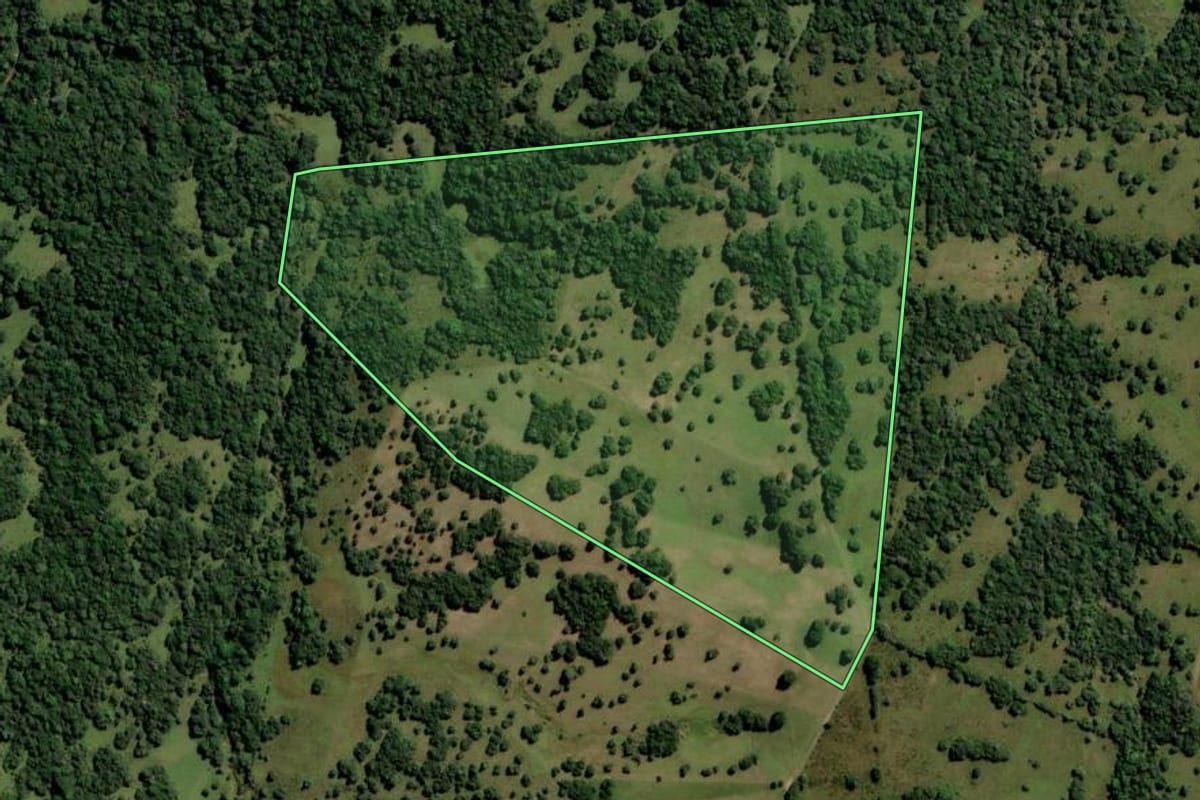 Imagem de satélite do imóvel rural em Pinheiro Machado (RS), com o contorno declarado no CAR desenhado por cima.