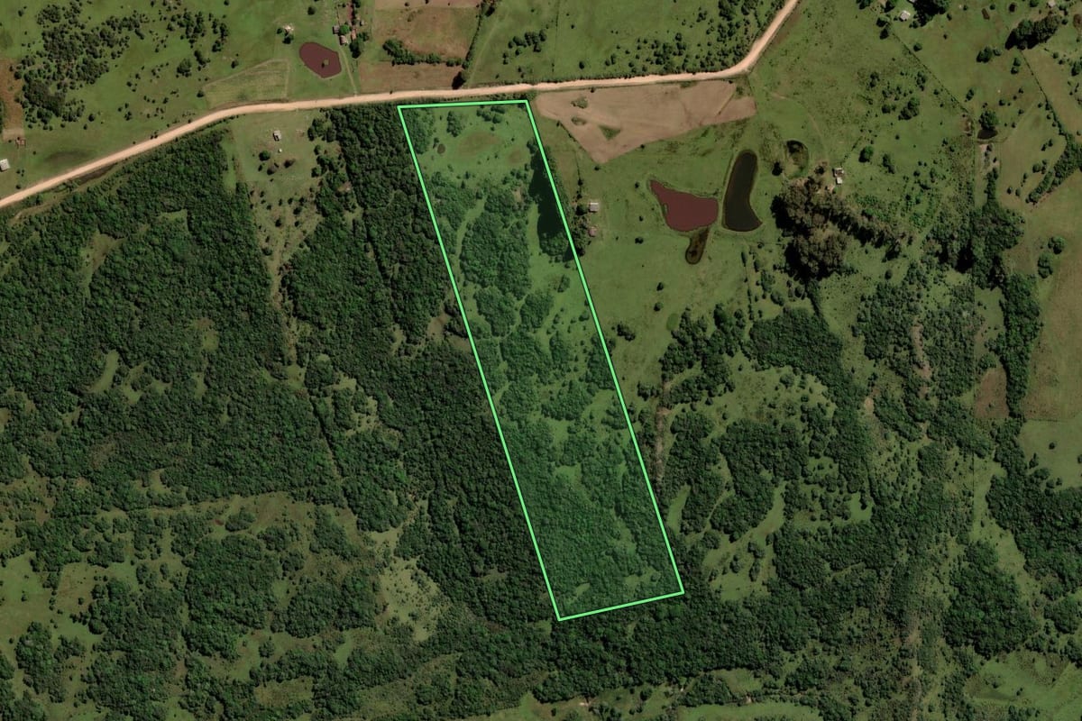 Imagem de satélite do imóvel rural em Pinheiro Machado (RS), com o contorno declarado no CAR desenhado por cima.
