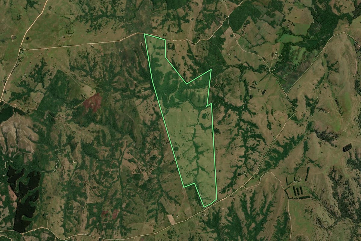 Imagem de satélite do imóvel rural em Pinheiro Machado (RS), com o contorno declarado no CAR desenhado por cima.