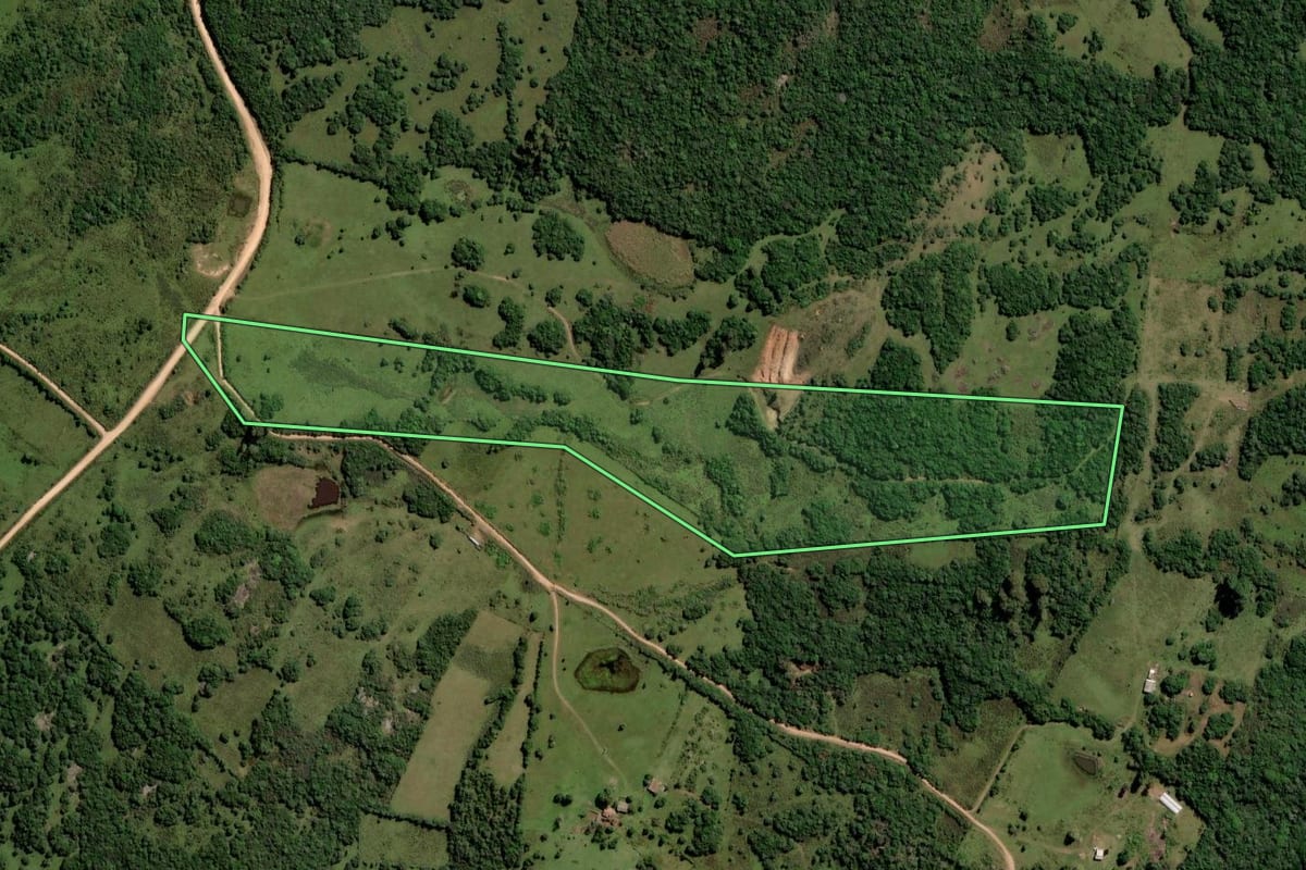 Imagem de satélite do imóvel rural em Pinheiro Machado (RS), com o contorno declarado no CAR desenhado por cima.