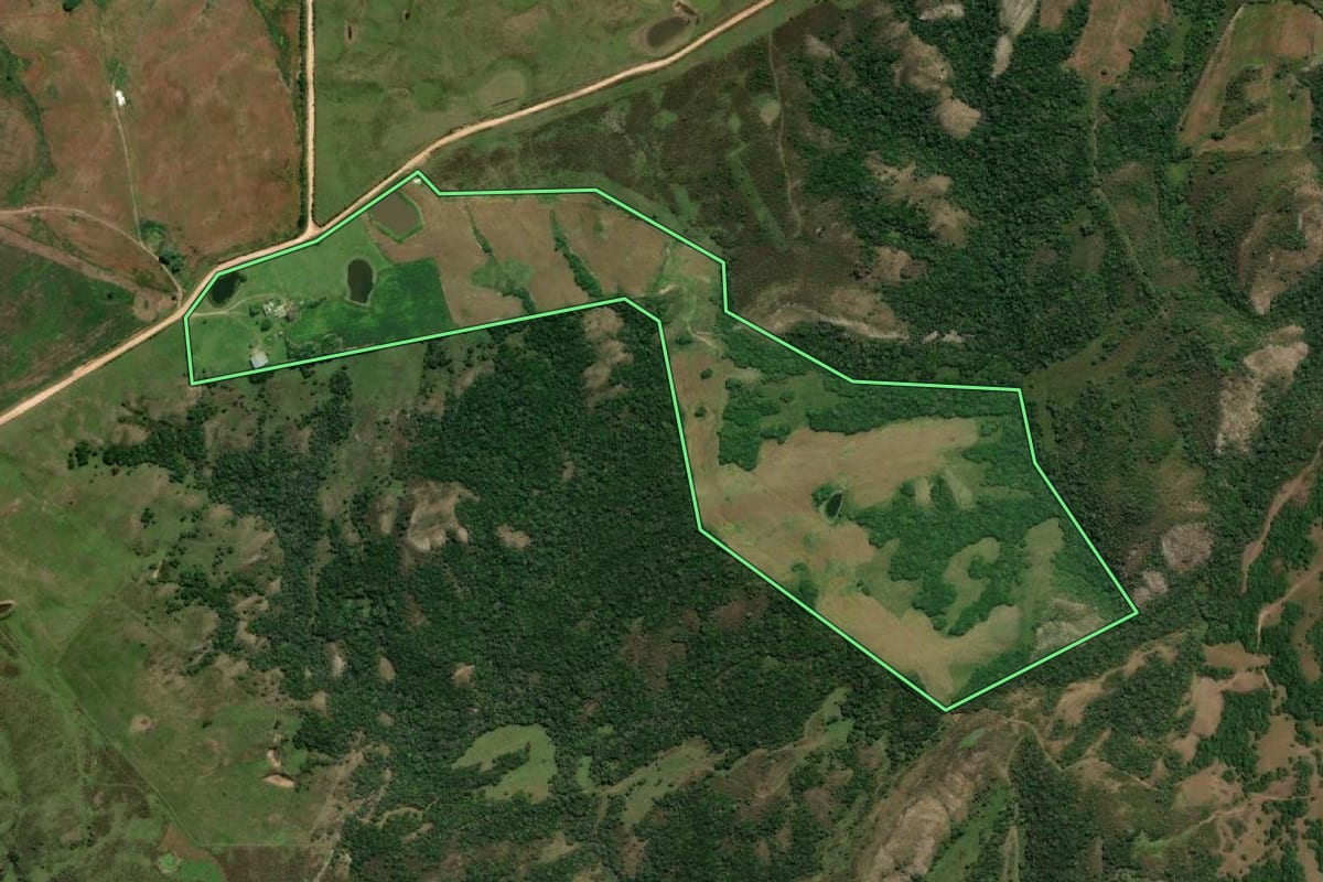 Imagem de satélite do imóvel rural em Pinheiro Machado (RS), com o contorno declarado no CAR desenhado por cima.
