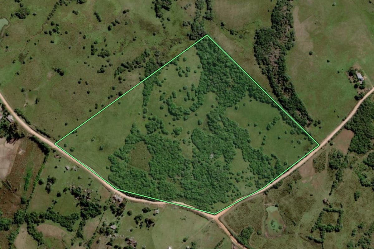Imagem de satélite do imóvel rural em Pinheiro Machado (RS), com o contorno declarado no CAR desenhado por cima.