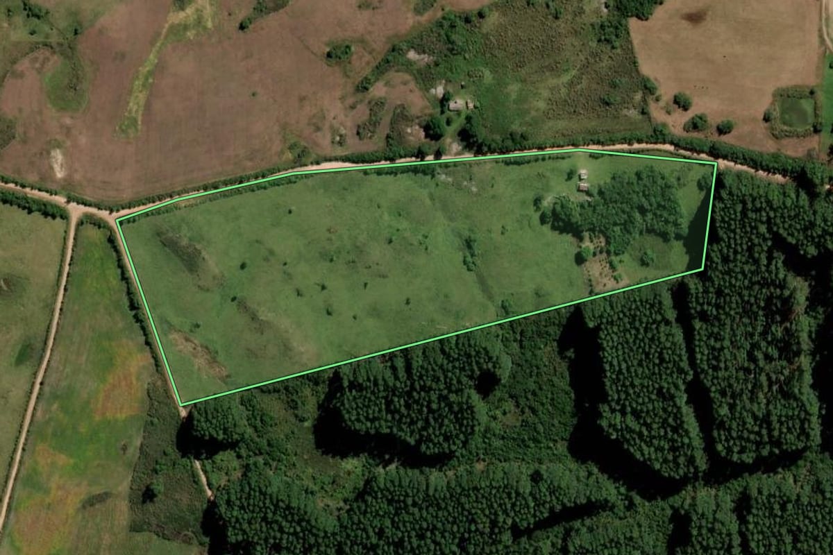 Imagem de satélite do imóvel rural em Pinheiro Machado (RS), com o contorno declarado no CAR desenhado por cima.