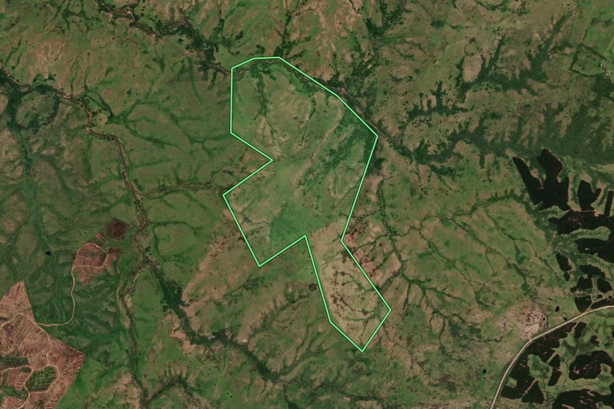 Imagem de satélite do imóvel rural em Pinheiro Machado (RS), com o contorno declarado no CAR desenhado por cima.