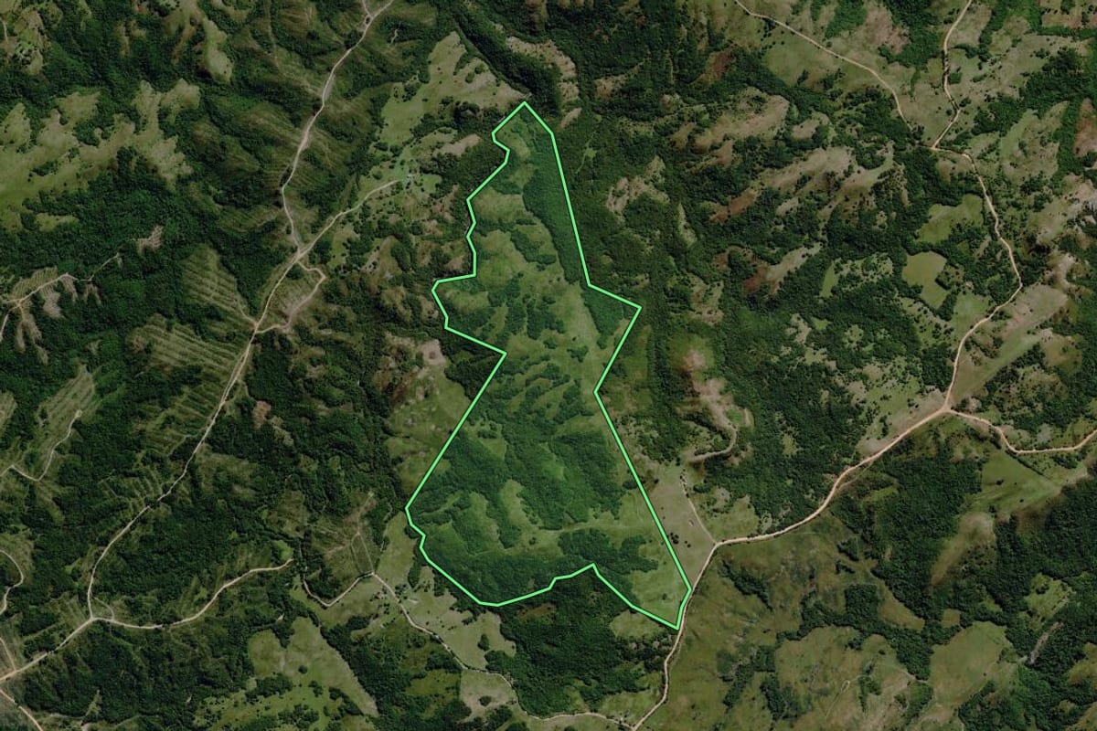 Imagem de satélite do imóvel rural em Pinheiro Machado (RS), com o contorno declarado no CAR desenhado por cima.