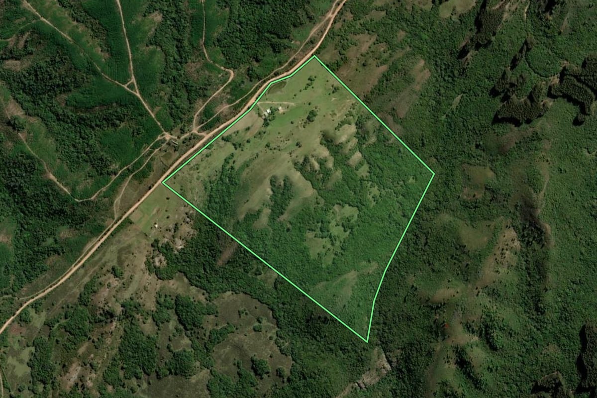 Imagem de satélite do imóvel rural em Pinheiro Machado (RS), com o contorno declarado no CAR desenhado por cima.