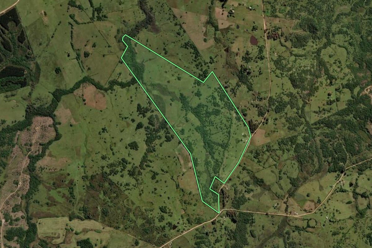 Imagem de satélite do imóvel rural em Pinheiro Machado (RS), com o contorno declarado no CAR desenhado por cima.