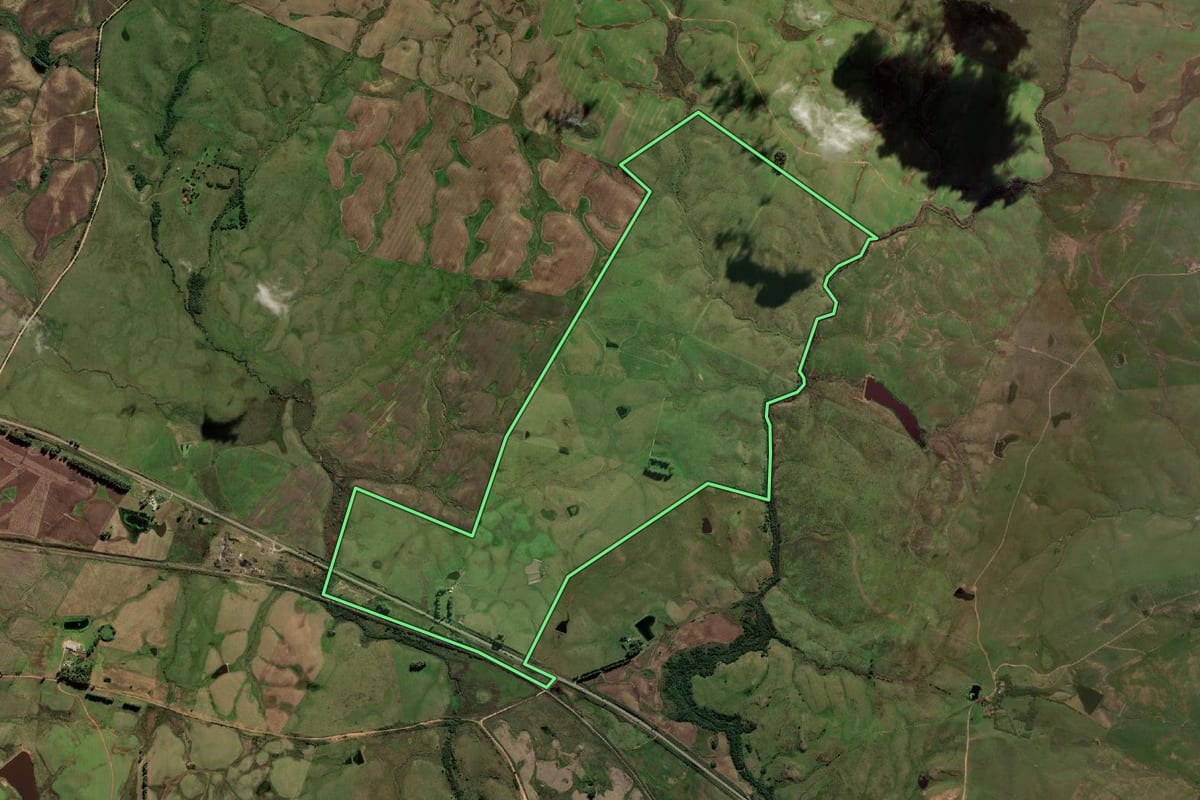 Imagem de satélite do imóvel rural em Pinheiro Machado (RS), com o contorno declarado no CAR desenhado por cima.