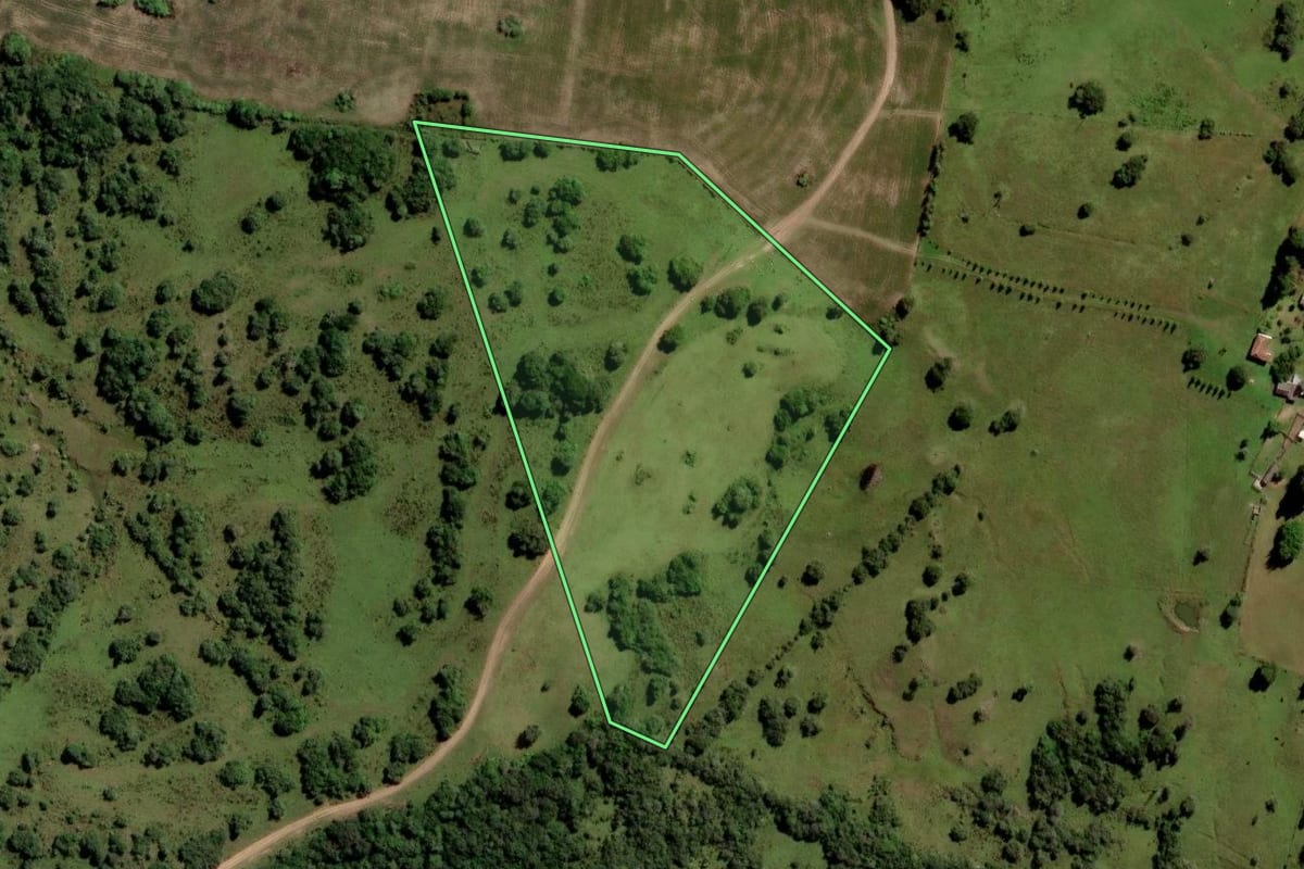 Imagem de satélite do imóvel rural em Pinheiro Machado (RS), com o contorno declarado no CAR desenhado por cima.