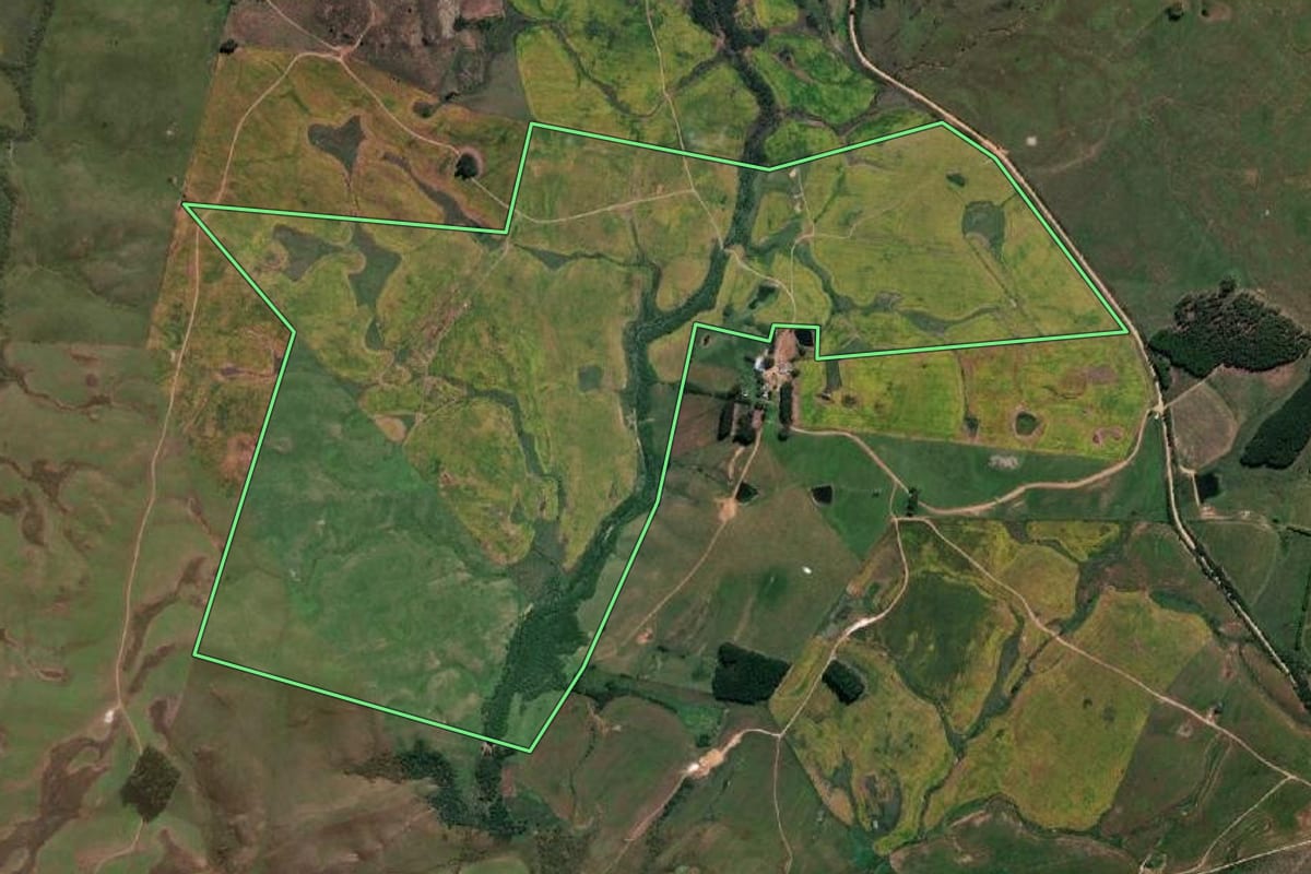 Imagem de satélite do imóvel rural em Pinheiro Machado (RS), com o contorno declarado no CAR desenhado por cima.