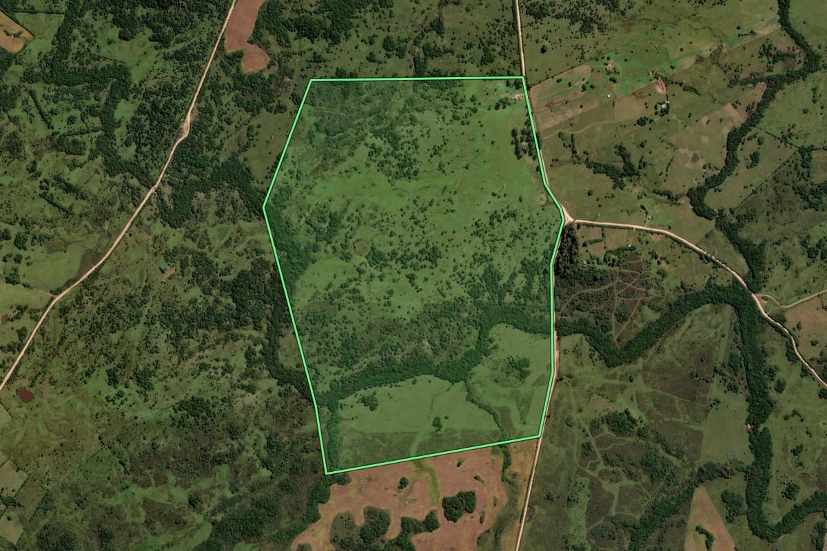 Imagem de satélite do imóvel rural em Pinheiro Machado (RS), com o contorno declarado no CAR desenhado por cima.