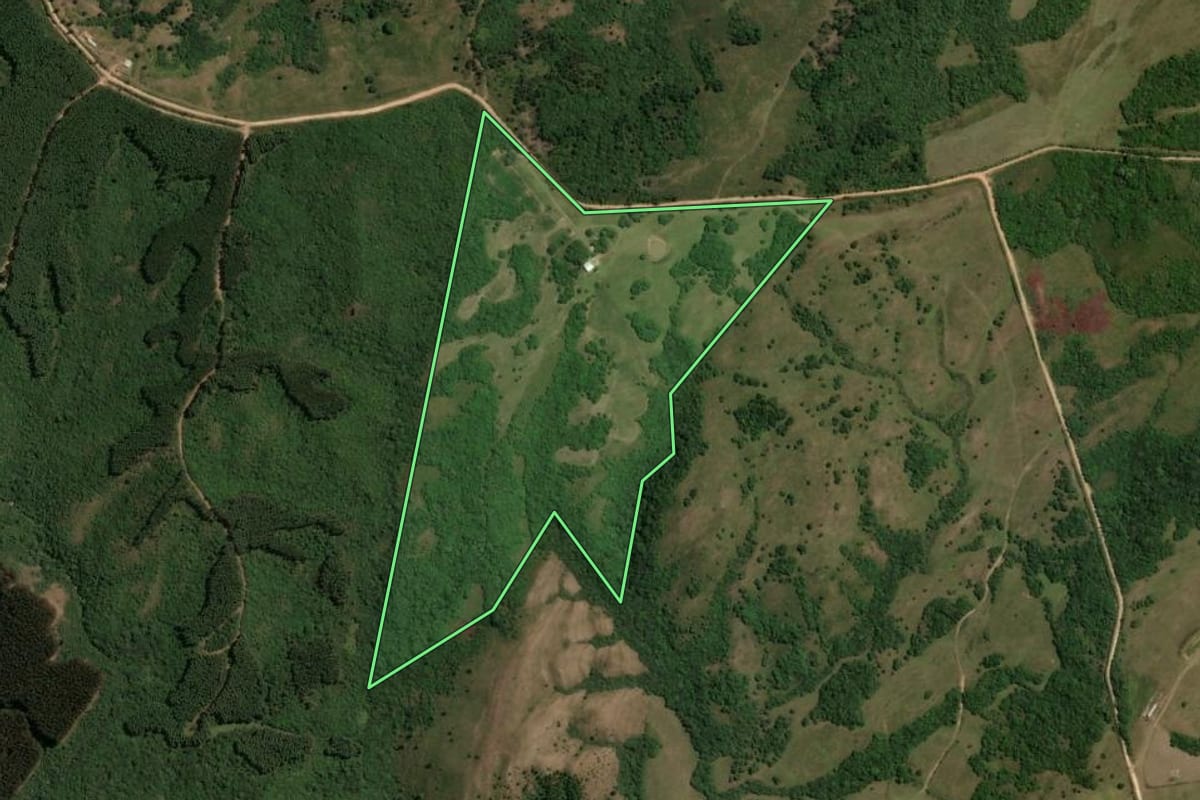 Imagem de satélite do imóvel rural em Pinheiro Machado (RS), com o contorno declarado no CAR desenhado por cima.