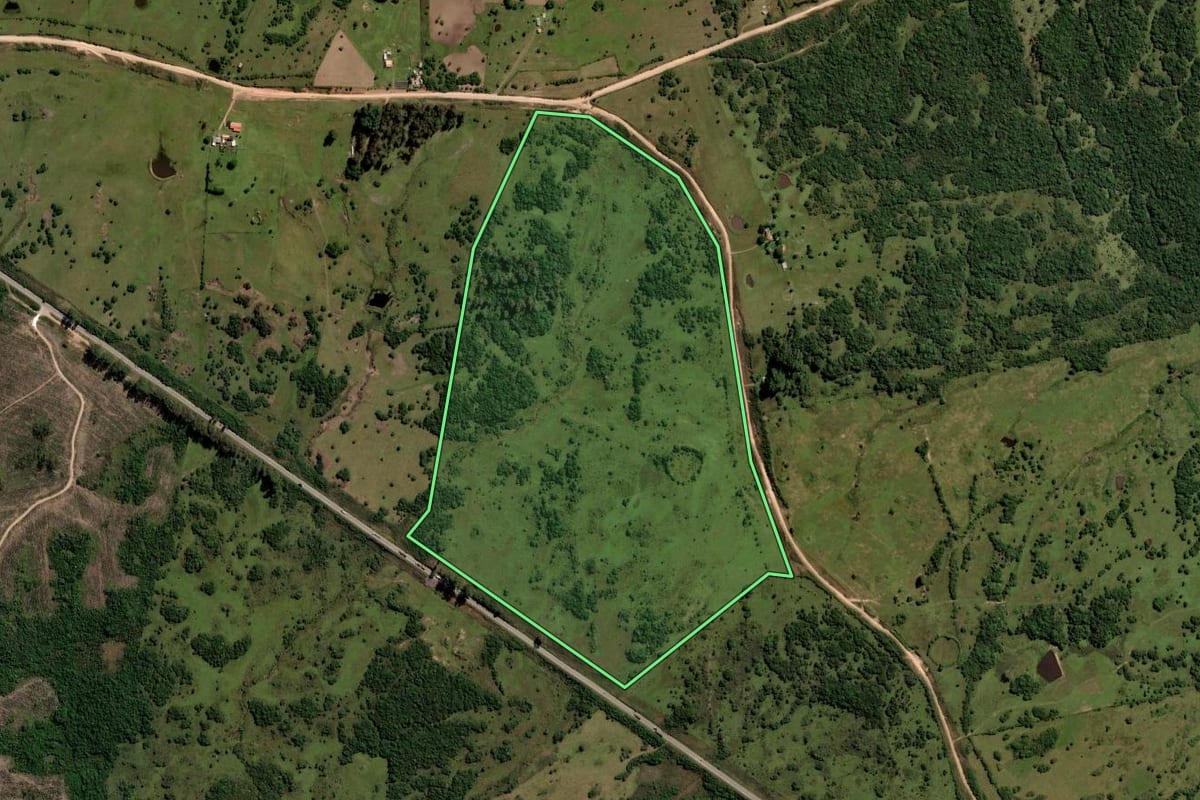 Imagem de satélite do imóvel rural em Pinheiro Machado (RS), com o contorno declarado no CAR desenhado por cima.