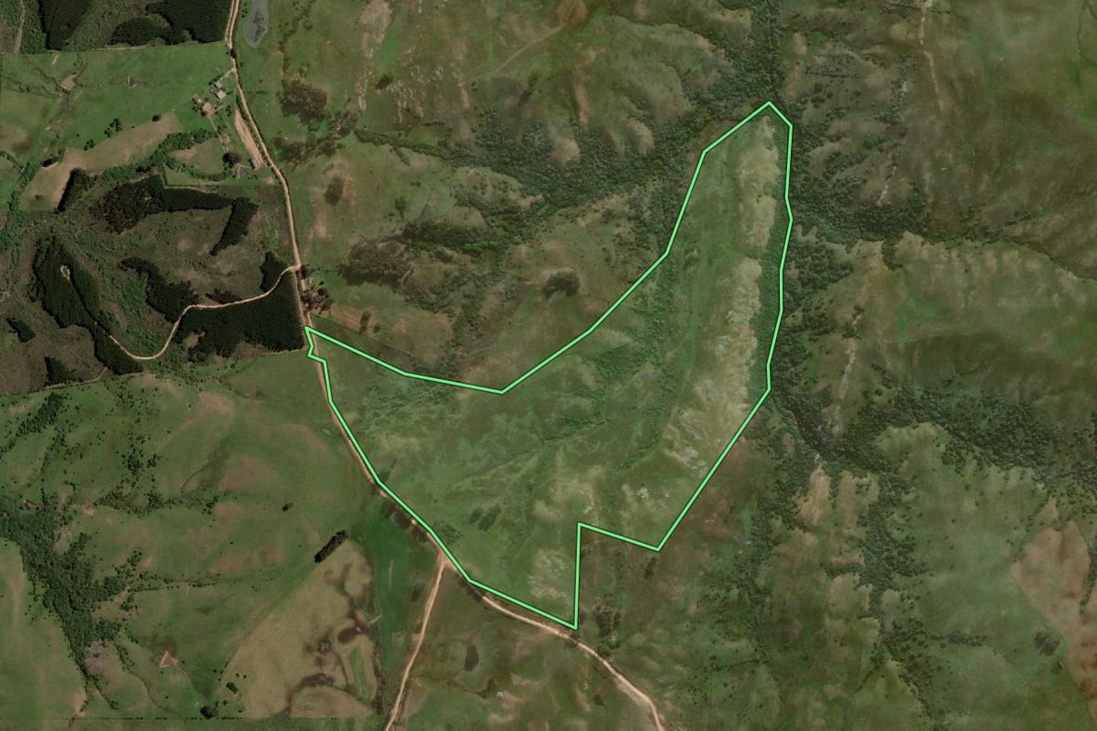 Imagem de satélite do imóvel rural em Pinheiro Machado (RS), com o contorno declarado no CAR desenhado por cima.