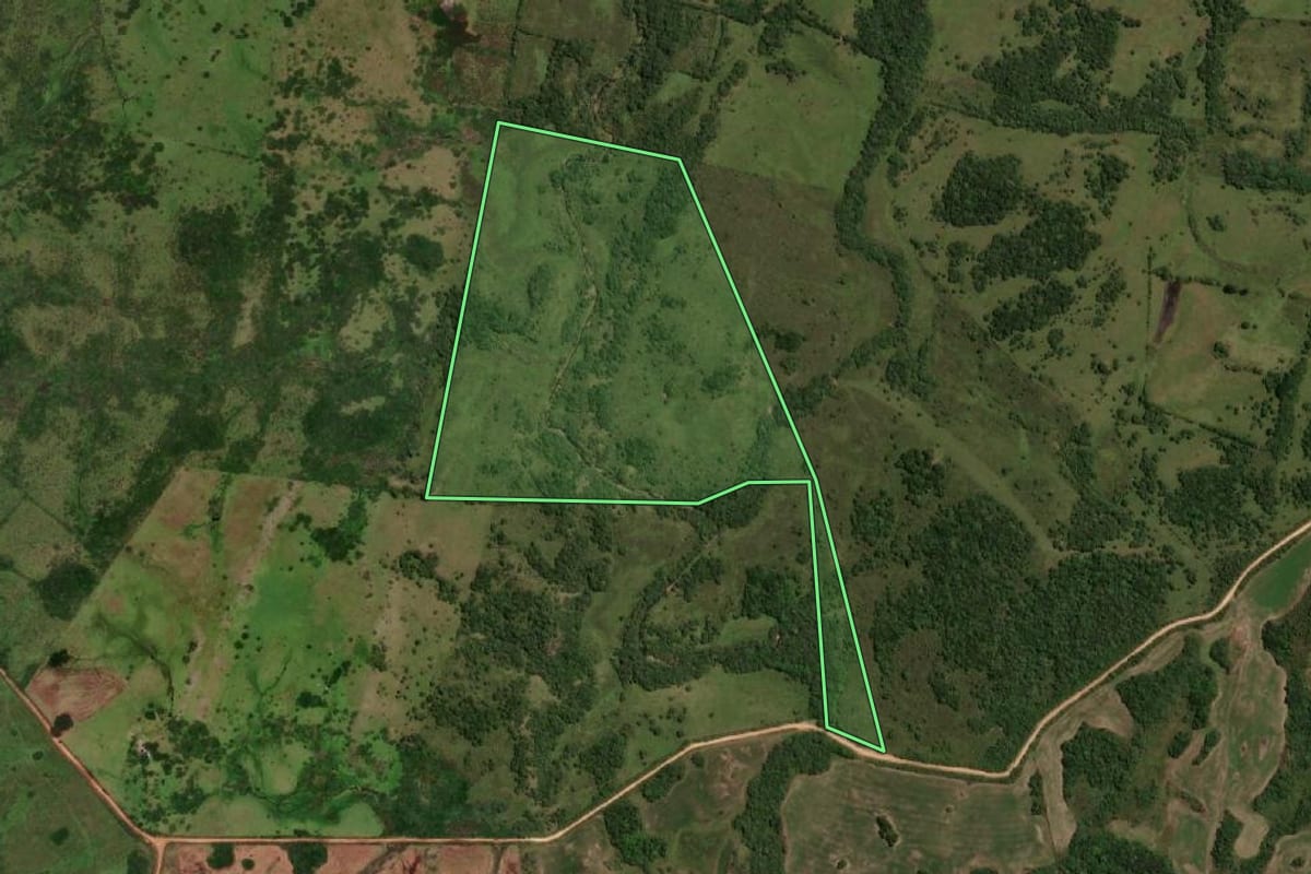Imagem de satélite do imóvel rural em Pinheiro Machado (RS), com o contorno declarado no CAR desenhado por cima.