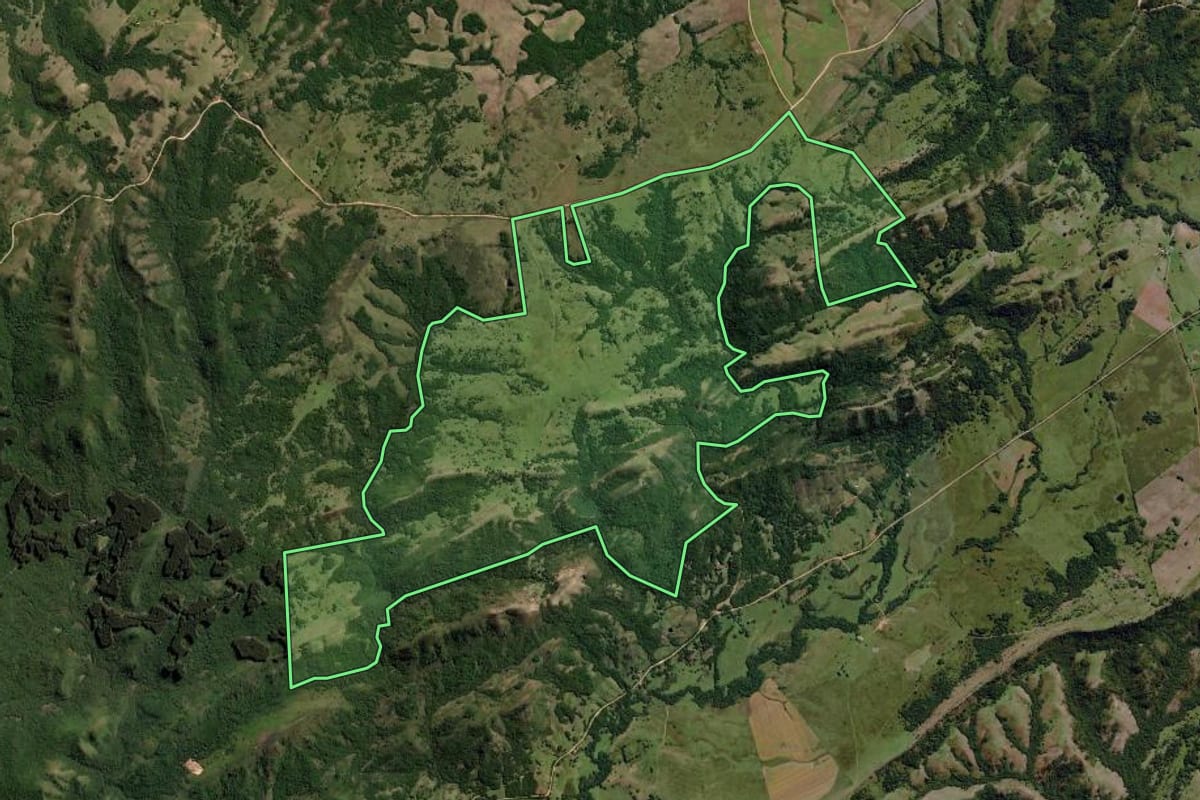 Imagem de satélite do imóvel rural em Pinheiro Machado (RS), com o contorno declarado no CAR desenhado por cima.