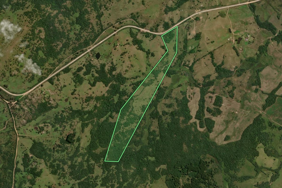 Imagem de satélite do imóvel rural em Pinheiro Machado (RS), com o contorno declarado no CAR desenhado por cima.
