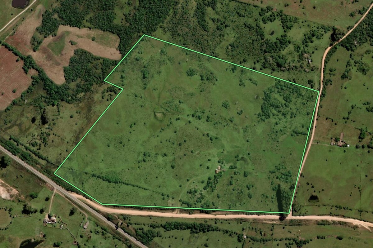 Imagem de satélite do imóvel rural em Pinheiro Machado (RS), com o contorno declarado no CAR desenhado por cima.