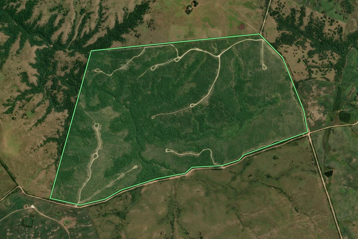 Imagem de satélite do imóvel rural em Pinheiro Machado (RS), com o contorno declarado no CAR desenhado por cima.