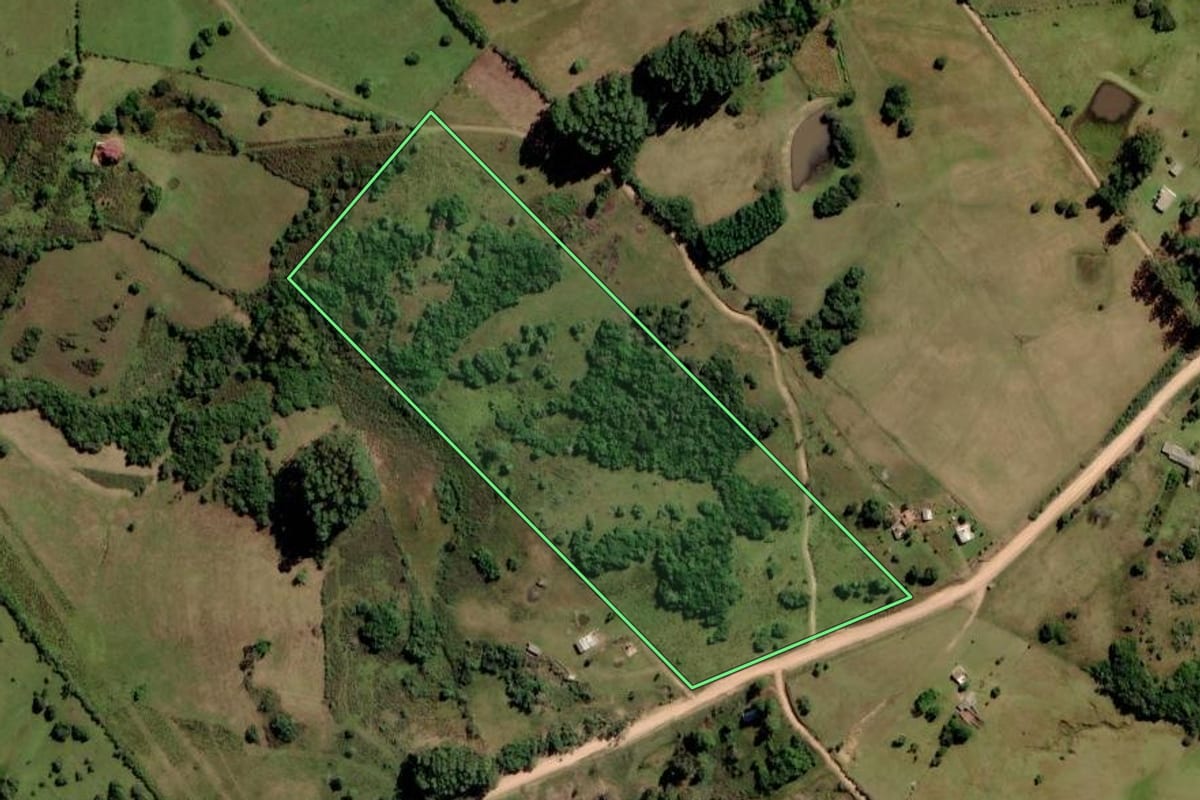 Imagem de satélite do imóvel rural em Pinheiro Machado (RS), com o contorno declarado no CAR desenhado por cima.