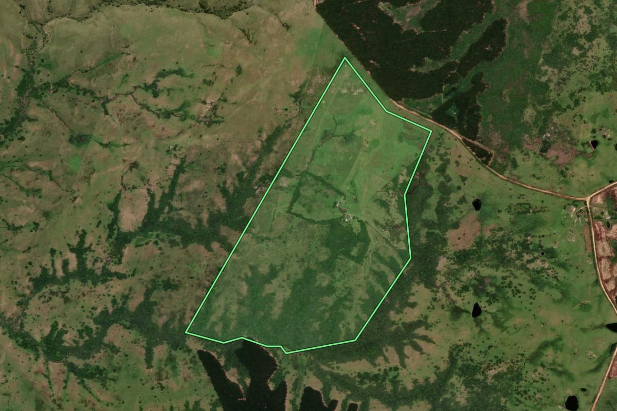 Imagem de satélite do imóvel rural em Pinheiro Machado (RS), com o contorno declarado no CAR desenhado por cima.