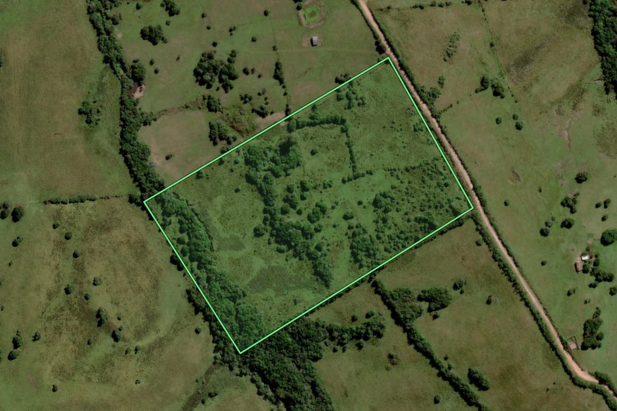 Imagem de satélite do imóvel rural em Pinheiro Machado (RS), com o contorno declarado no CAR desenhado por cima.