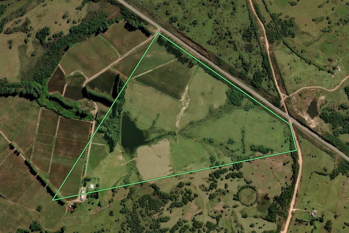Imagem de satélite do imóvel rural em Pinheiro Machado (RS), com o contorno declarado no CAR desenhado por cima.