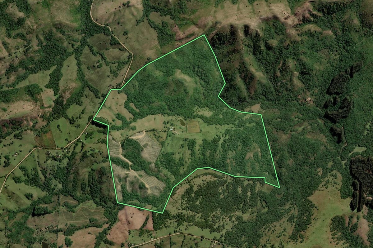 Imagem de satélite do imóvel rural em Pinheiro Machado (RS), com o contorno declarado no CAR desenhado por cima.