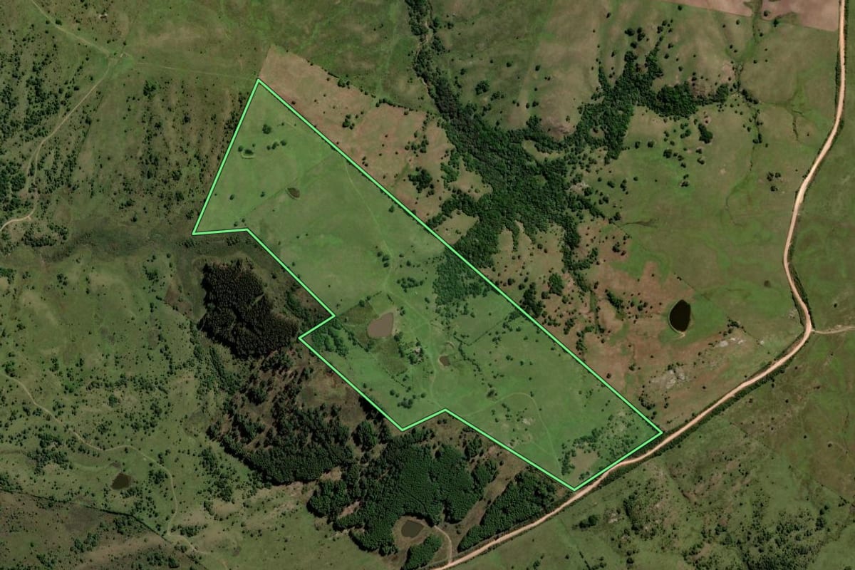 Imagem de satélite do imóvel rural em Pinheiro Machado (RS), com o contorno declarado no CAR desenhado por cima.