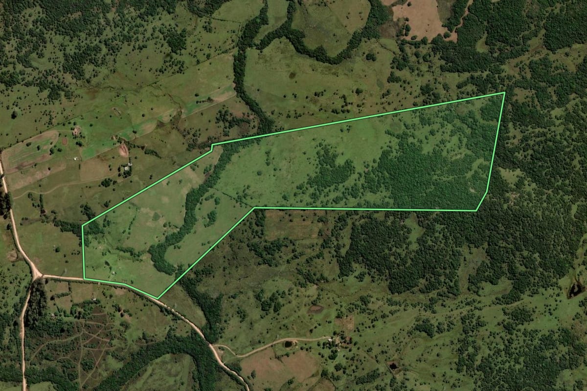 Imagem de satélite do imóvel rural em Pinheiro Machado (RS), com o contorno declarado no CAR desenhado por cima.