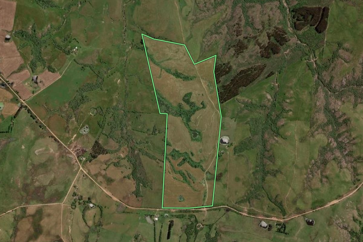 Imagem de satélite do imóvel rural em Pinheiro Machado (RS), com o contorno declarado no CAR desenhado por cima.