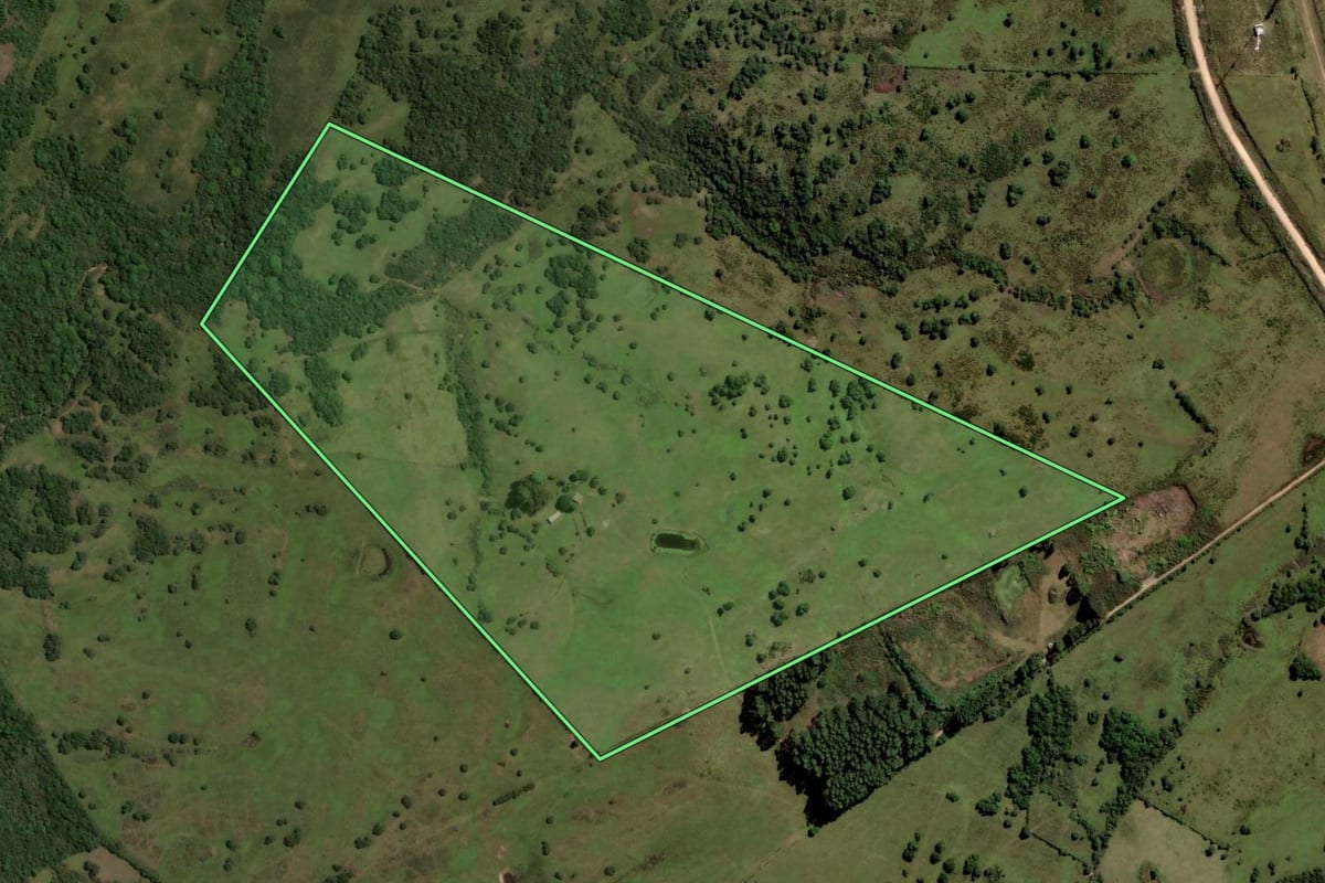 Imagem de satélite do imóvel rural em Pinheiro Machado (RS), com o contorno declarado no CAR desenhado por cima.