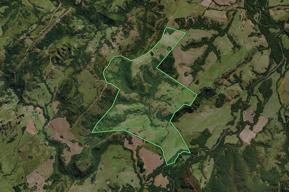 Imagem de satélite do imóvel rural em Pinheiro Machado (RS), com o contorno declarado no CAR desenhado por cima.