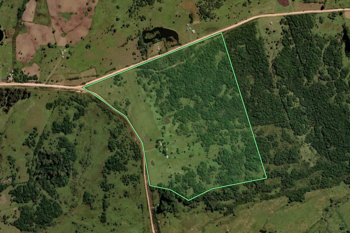 Imagem de satélite do imóvel rural em Pinheiro Machado (RS), com o contorno declarado no CAR desenhado por cima.