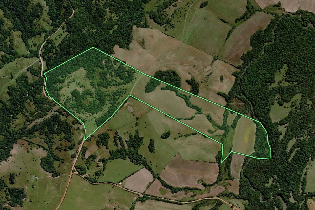 Imagem de satélite do imóvel rural em Pinheiro Machado (RS), com o contorno declarado no CAR desenhado por cima.