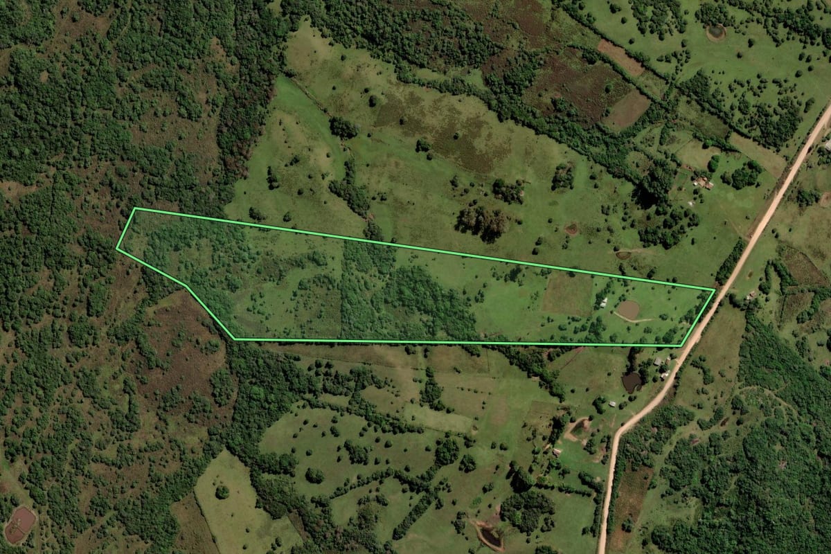 Imagem de satélite do imóvel rural em Pinheiro Machado (RS), com o contorno declarado no CAR desenhado por cima.
