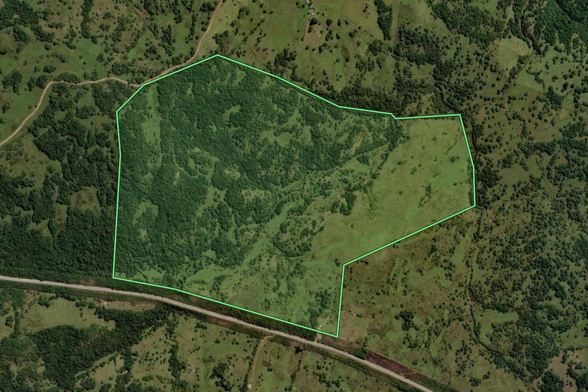 Imagem de satélite do imóvel rural em Pinheiro Machado (RS), com o contorno declarado no CAR desenhado por cima.